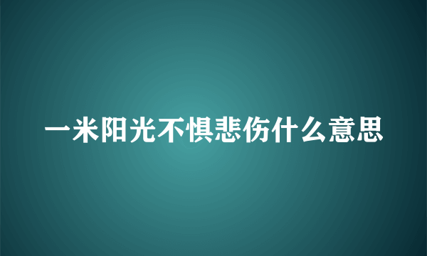 一米阳光不惧悲伤什么意思