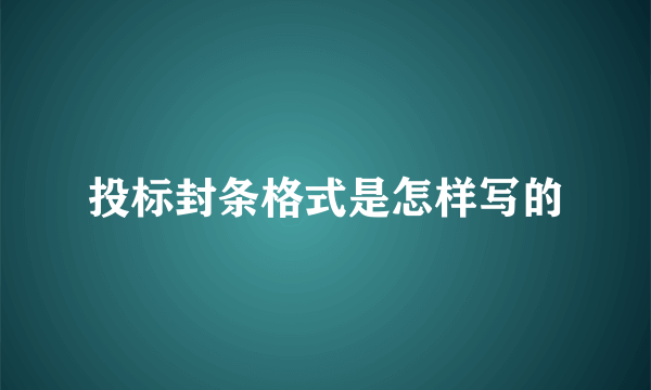 投标封条格式是怎样写的