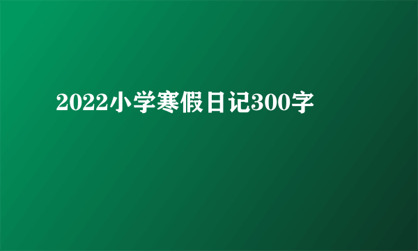 2022小学寒假日记300字