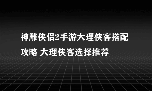 神雕侠侣2手游大理侠客搭配攻略 大理侠客选择推荐