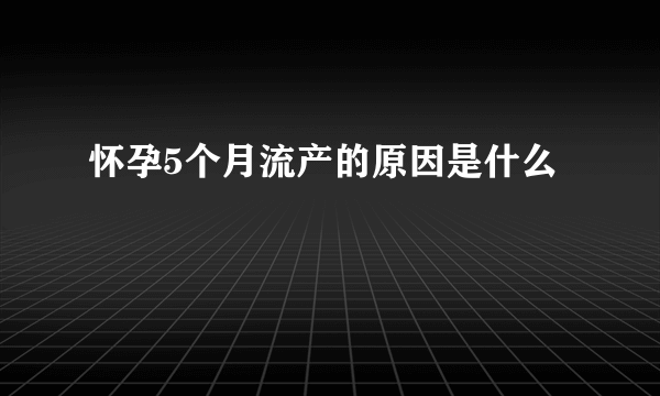 怀孕5个月流产的原因是什么