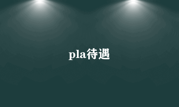 pla待遇