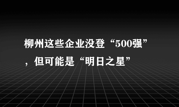 柳州这些企业没登“500强”，但可能是“明日之星”