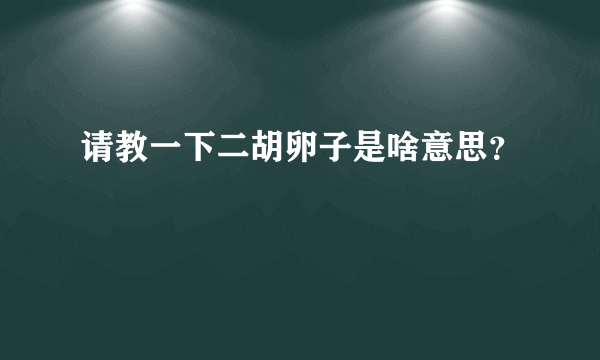 请教一下二胡卵子是啥意思？