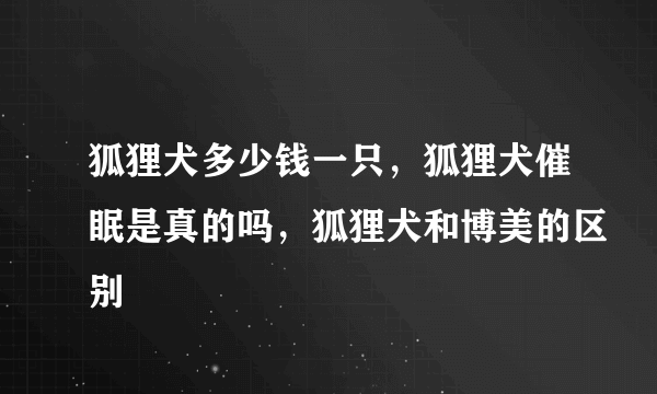 狐狸犬多少钱一只，狐狸犬催眠是真的吗，狐狸犬和博美的区别