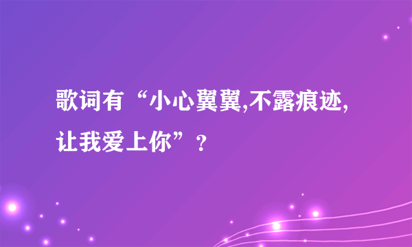 歌词有“小心翼翼,不露痕迹,让我爱上你”？