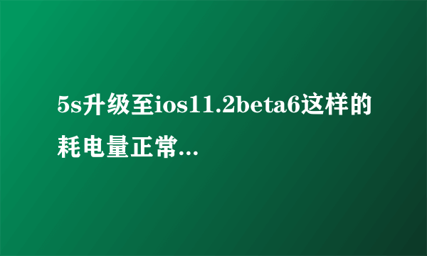 5s升级至ios11.2beta6这样的耗电量正常吗？如图？