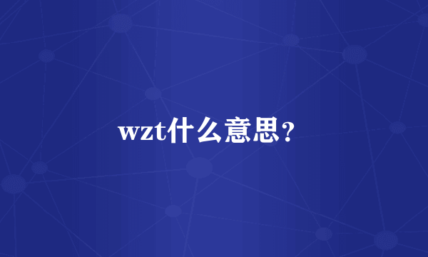 wzt什么意思？