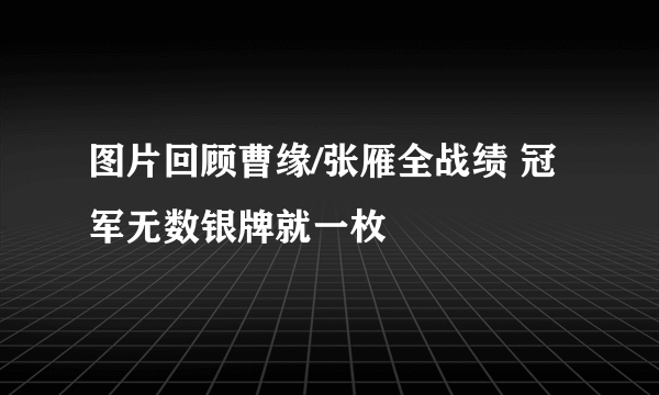 图片回顾曹缘/张雁全战绩 冠军无数银牌就一枚