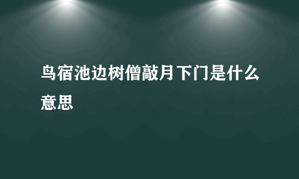 鸟宿池边树僧敲月下门是什么意思