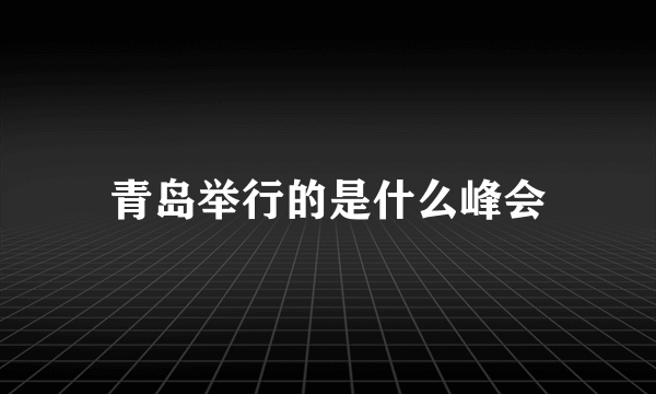 青岛举行的是什么峰会