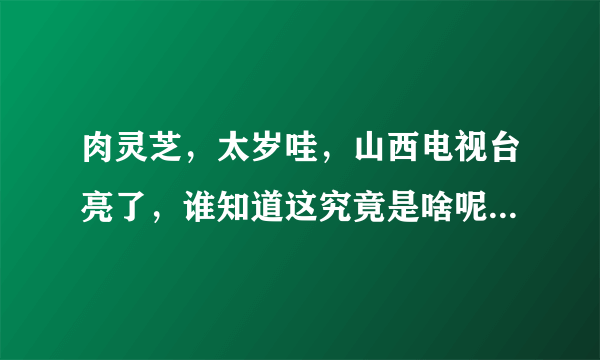 肉灵芝，太岁哇，山西电视台亮了，谁知道这究竟是啥呢？(转载)