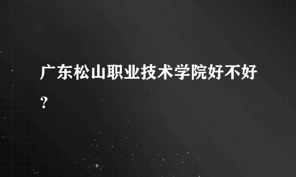 广东松山职业技术学院好不好？