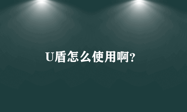 U盾怎么使用啊？