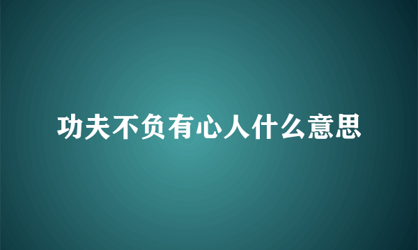 功夫不负有心人什么意思