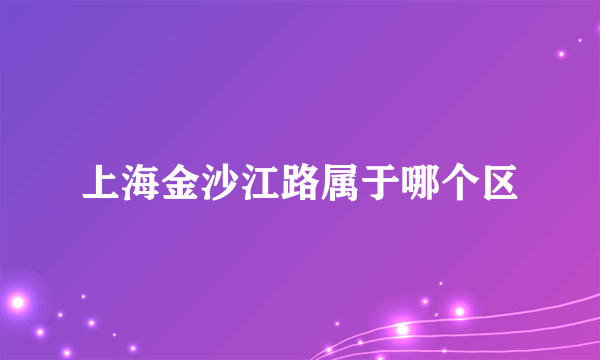 上海金沙江路属于哪个区