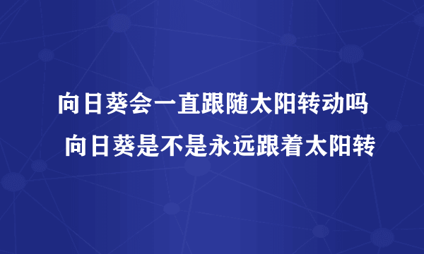 向日葵会一直跟随太阳转动吗 向日葵是不是永远跟着太阳转