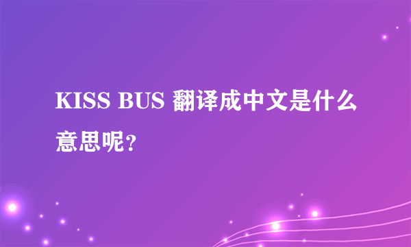 KISS BUS 翻译成中文是什么意思呢？