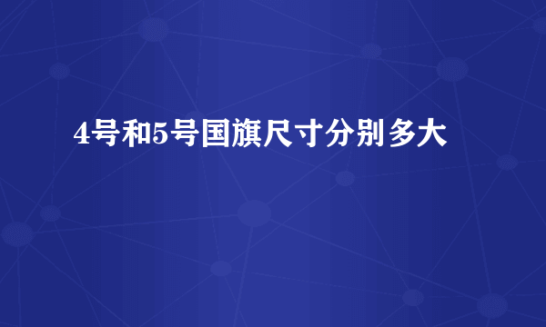 4号和5号国旗尺寸分别多大