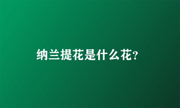 纳兰提花是什么花？