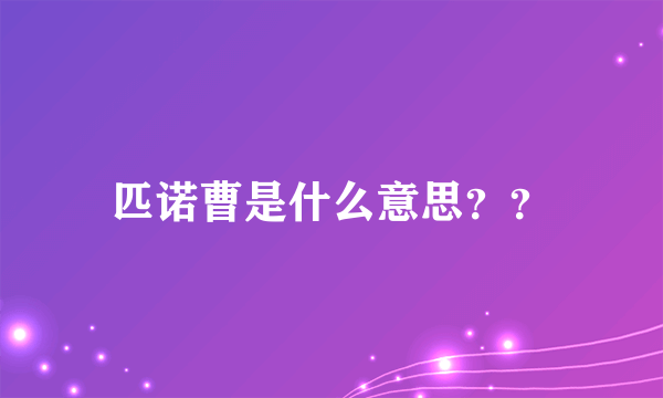 匹诺曹是什么意思？？