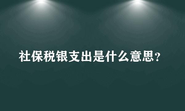 社保税银支出是什么意思？