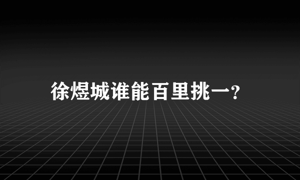 徐煜城谁能百里挑一？