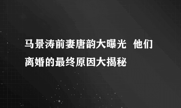 马景涛前妻唐韵大曝光  他们离婚的最终原因大揭秘