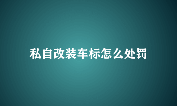 私自改装车标怎么处罚