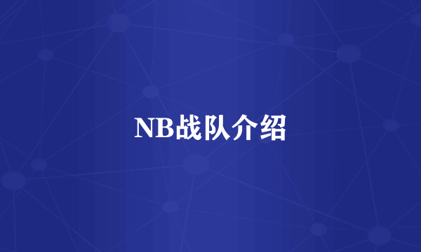 NB战队介绍