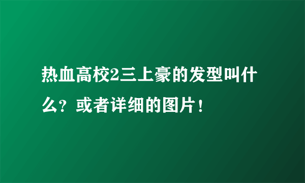 热血高校2三上豪的发型叫什么？或者详细的图片！