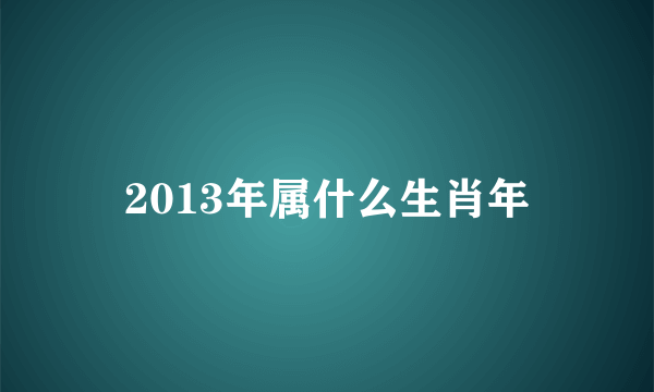 2013年属什么生肖年