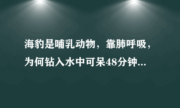 海豹是哺乳动物，靠肺呼吸，为何钻入水中可呆48分钟？（最长据说可达80分钟）