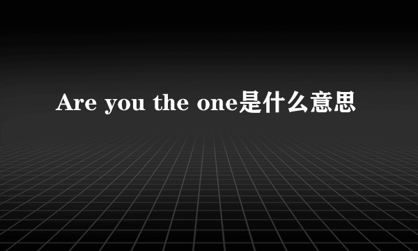 Are you the one是什么意思