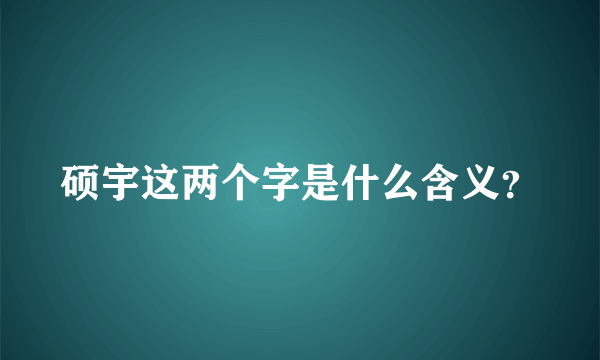 硕宇这两个字是什么含义？