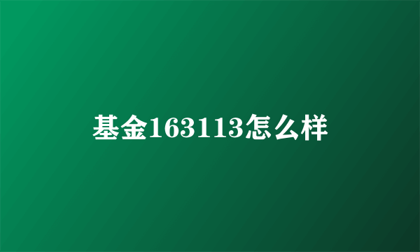 基金163113怎么样