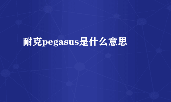 耐克pegasus是什么意思