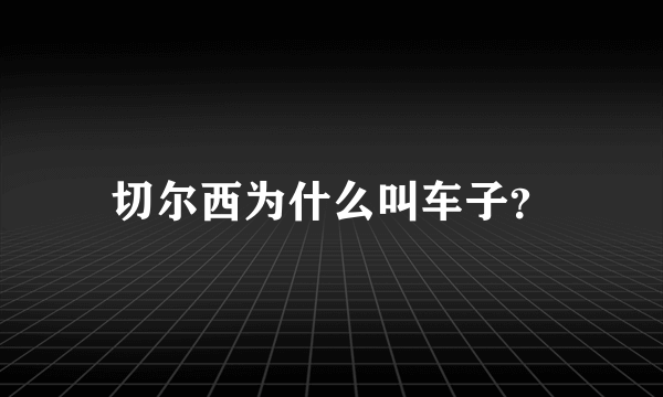 切尔西为什么叫车子？