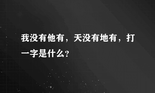 我没有他有，天没有地有，打一字是什么？