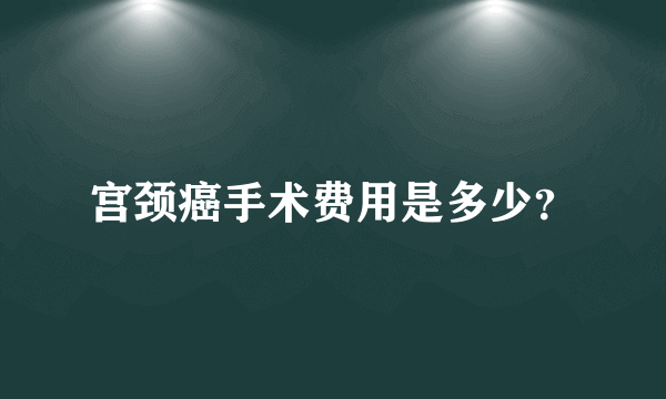 宫颈癌手术费用是多少？