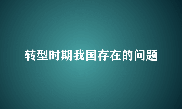 转型时期我国存在的问题