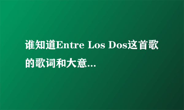 谁知道Entre Los Dos这首歌的歌词和大意？谢谢！！！