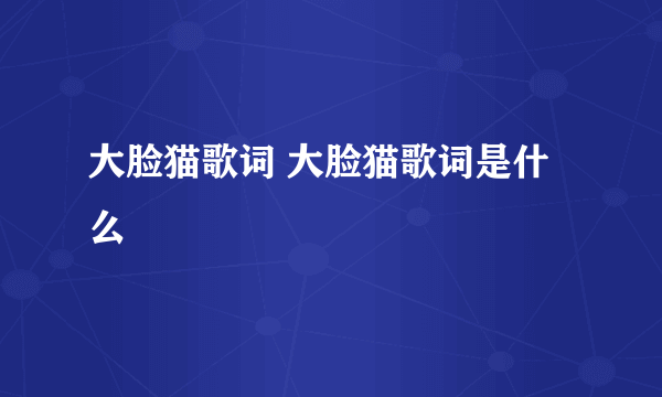 大脸猫歌词 大脸猫歌词是什么