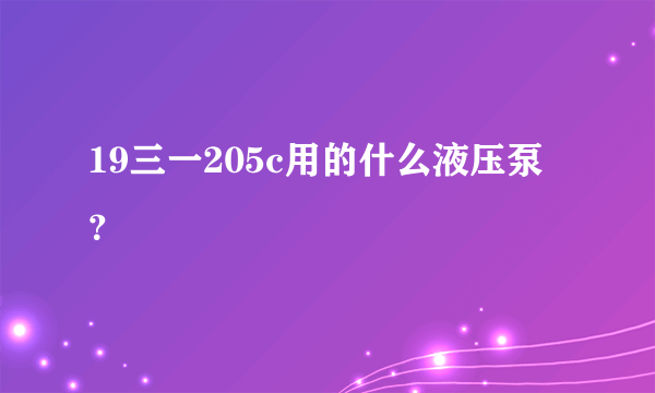 19三一205c用的什么液压泵？