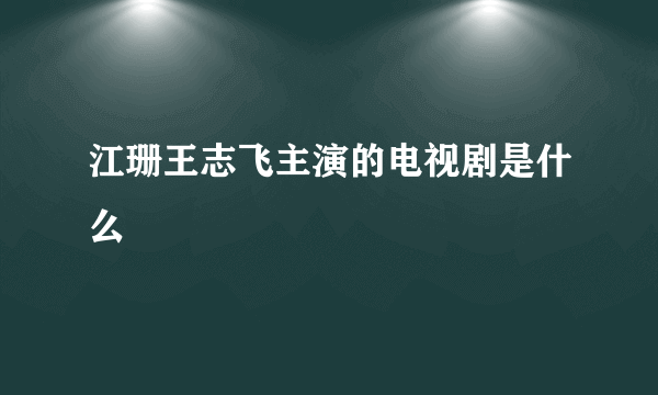 江珊王志飞主演的电视剧是什么