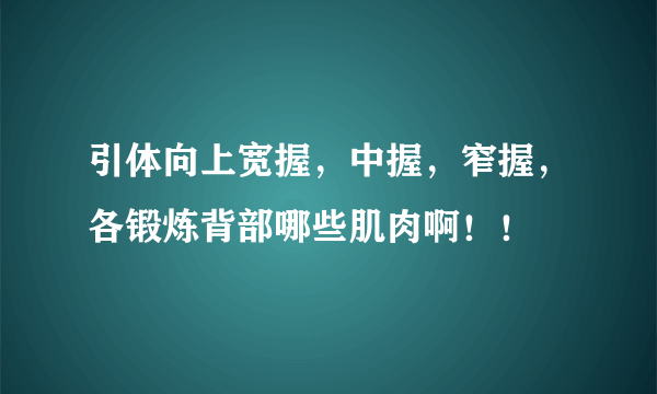 引体向上宽握，中握，窄握，各锻炼背部哪些肌肉啊！！