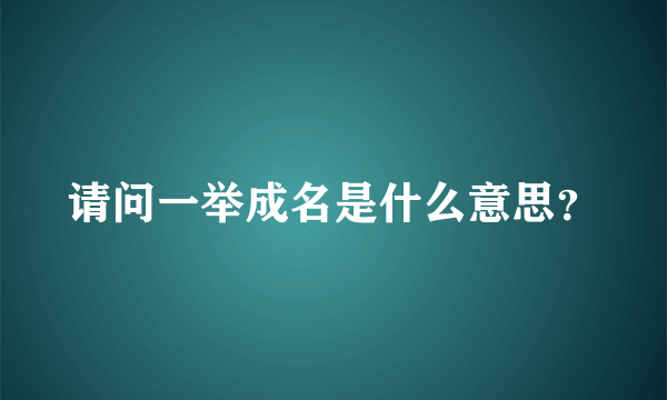 请问一举成名是什么意思？