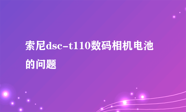 索尼dsc-t110数码相机电池的问题