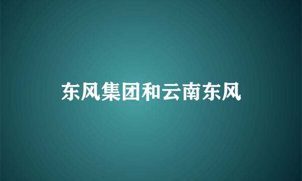 东风集团和云南东风