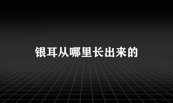 银耳从哪里长出来的